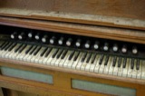 Organs
