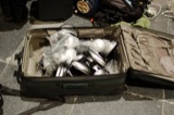 Twenty Harmoniums