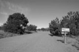New Mexico