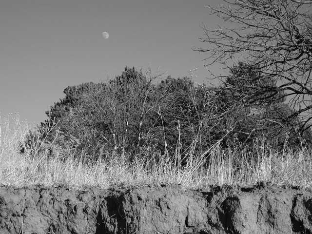 Places