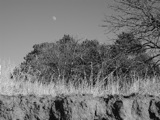 New Mexico