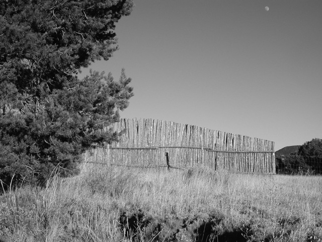New Mexico