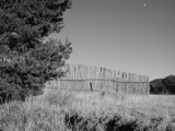 New Mexico