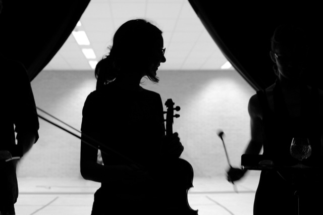 Violins
